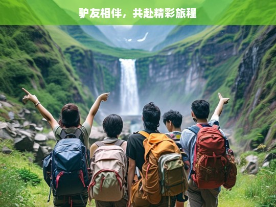 驴友相伴，共赴精彩旅程，驴友同行，精彩之旅