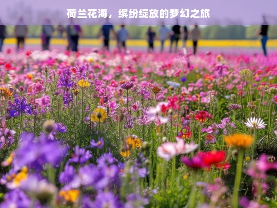 荷兰花海，缤纷绽放的梦幻之旅，荷兰花海，缤纷绽放的梦幻之旅