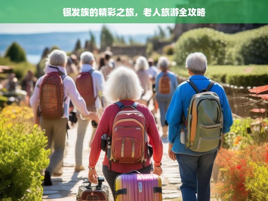 银发族的精彩之旅，老人旅游全攻略，银发族旅游攻略，开启精彩之旅