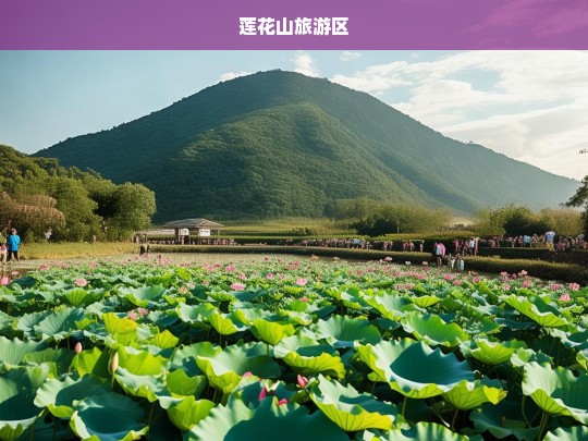 探索莲花山旅游区，自然与文化的完美融合