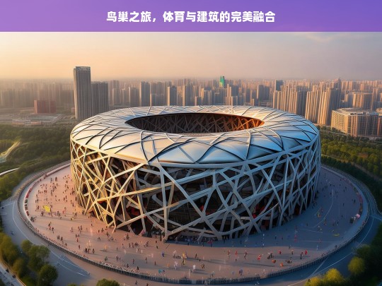 鸟巢之旅，体育与建筑的完美融合，鸟巢，体育与建筑融合之旅