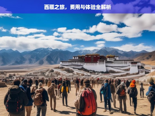 西藏之旅，费用与体验全解析，西藏之旅费用与体验剖析