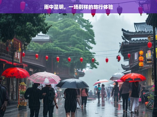 雨中漫步昆明，一场别样的诗意旅行