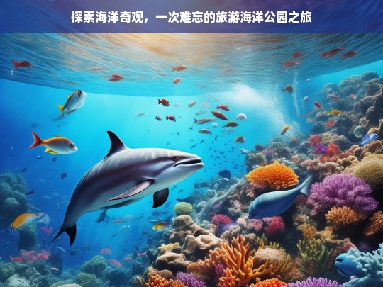 探秘海洋奇观，一次难忘的海洋公园之旅