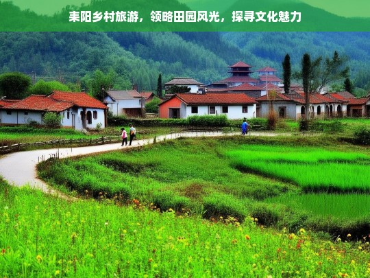 耒阳乡村旅游，领略田园风光，探寻文化魅力，耒阳乡村旅游，田园与文化的魅力之旅