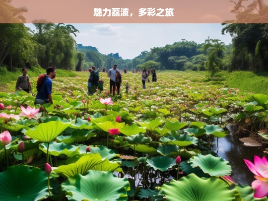 魅力荔波，多彩之旅，魅力荔波的多彩旅程