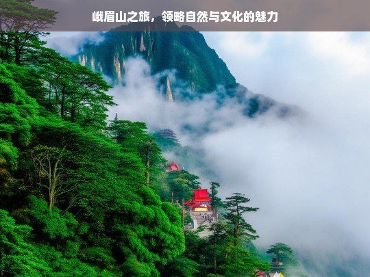 峨眉山之旅，领略自然与文化的魅力，峨眉山之旅，自然与文化的魅力盛宴