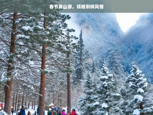 春节黄山游，领略别样风情，春节黄山游，领略别样风情之旅