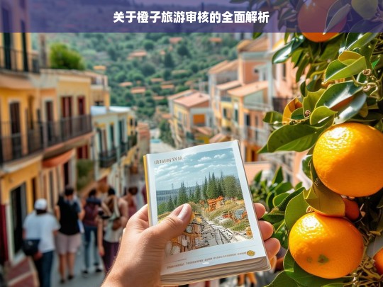 关于橙子旅游审核的全面解析，橙子旅游审核全面解析